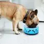 Ordermore Acrylic Dog Bowl with Rubber Base for Small/Medium Dogs,Non-Skid Deep Dog Bowl,Anti-bite Pet Feeder Bowl and Water Bowl,Holds 36 Ounce,Blue Ordermore Acrylic Dog Bowl with Rubber Base for Small/Medium Dogs,Non-Skid Deep Dog Bowl,Anti-bite Pet Feeder Bowl and Water Bowl,Holds 36 Ounce,Blue