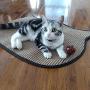 PetLike Cat Scratching Mat Natural Sisal Cat Scratcher Mat with Feather, Scratching Pad Sisal Protect Furniture