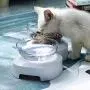 Vvciic Raised Cat Food Bowl, 15 Degree Tilt Adjustable Pet Food Bowls, Neck Guard Pet Water Bowl Raised Elevated Stand food Bowls for Cats & Small Dogs (double) Vvciic Raised Cat Food Bowl, 15 Degree Tilt Adjustable Pet Food Bowls, Neck Guard Pet Water Bowl Raised Elevated Stand food Bowls for Cats & Small Dogs (double)