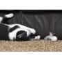 OurPets Play-N-Squeak at Night Twinkle Mouse Light-Up Cat Toy