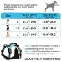 Petties&Sweeties No Pull Dog Harness, Reflective Adjustable Soft Padded Vest Unique Colors,with a Easy Control Training Handle Petties&Sweeties No Pull Dog Harness, Reflective Adjustable Soft Padded Vest Unique Colors,with a Easy Control Training Handle