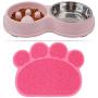 FPVERA Double Dog Cat Bowls with Slow Eating Design Pets Food Mat Feeding Water Bowl for Cats and Small Dogs