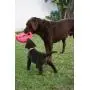 Rogz Flying Object Frisbee Dog Toy