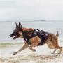 OneTigris Large Tactical Dog Harness and Dog Leash Set, No Pulling Adjustable Dog Vest Harness, Heavy Duty Dog Harness with Handle(Black,L)