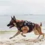 OneTigris Large Tactical Dog Harness, No Pull Adjustable Dog Harness with 3 Handles/Backpack Pouch,Service Dog Vest for Training Walking Hiking(Black,L)