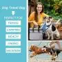 Breeze Touch Dog Travel Bag - Airline Approved Travel Set for Dogs Stores All Your Dog Accessories - Includes Travel Bag, 2X Food Storage Containers and 2X Collapsible Dog Bowls Breeze Touch Dog Travel Bag - Airline Approved Travel Set for Dogs Stores All Your Dog Accessories - Includes Travel Bag, 2X Food Storage Containers and 2X Collapsible Dog Bowls