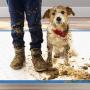 OUT! MonsterPads | 7 Layer Quilted Dog Pad Absorbing Over 8 Cups of Liquid | 60 Pads 36 x 36 (1030738)