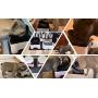 JOHOBA Elevated Dog Feeder for Bulldog & Flat-Faced Dogs,Tilted Bowl Effectively Avoids Flatulence & Indigestion,Double Non-Slip Mats 2 Cups