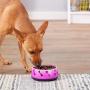 Dogit Dog Food and Water Bowl, BPA-Free Dog Dish, Non-Skid Dog Bowl, Pink, 90411