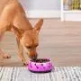 Dogit Dog Food and Water Bowl, BPA-Free Dog Dish, Non-Skid Dog Bowl, Pink, 90411 Dogit Dog Food and Water Bowl, BPA-Free Dog Dish, Non-Skid Dog Bowl, Pink, 90411