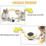 SEALAYE Interactive Cat Toys Catnip Ball Toy Balance Swing Car Stimulate Hunting Instinct Kitten Funny Chaser Pet Tumbler Automatic Toy for Indoor Play