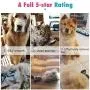 PAWABOO Pet Dematting Comb & Dog Grooming Scissors Kit 5 Pack PAWABOO Pet Dematting Comb & Dog Grooming Scissors Kit 5 Pack