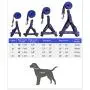 iCAGY Dog Harness and Leash Set with Collar for Small Pets, Easy Walk Adjustable No Pull Dog Harness Leash Collar, Soft Nylon H-Shape Full Dog Body Harness, Red S iCAGY Dog Harness and Leash Set with Collar for Small Pets, Easy Walk Adjustable No Pull Dog Harness Leash Collar, Soft Nylon H-Shape Full Dog Body Harness, Red S