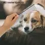 Pet Comb Stainless Steel Combing Tool for Dog and Cat Long Hair Comb Accessories Pet Comb Stainless Steel Combing Tool for Dog and Cat Long Hair Comb Accessories