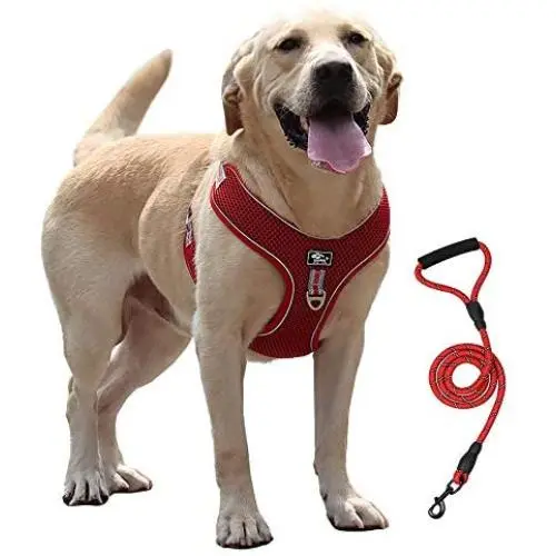 RIDVANVAN Dog Harness and Leash Set No-Pull Pet Harness Adjustable Soft Vest Reflective No-Choke Easy Breathable Mesh for Medium Dogs 2 Leash Clip Red 2X-Large RIDVANVAN Dog Harness and Leash Set No-Pull Pet Harness Adjustable Soft Vest Reflective No-Choke Easy Breathable Mesh for Medium Dogs 2 Leash Clip Red 2X-Large