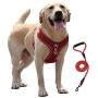 RIDVANVAN Dog Harness and Leash Set No-Pull Pet Harness Adjustable Soft Vest Reflective No-Choke Easy Breathable Mesh for Medium Dogs 2 Leash Clip Red 2X-Large