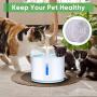 YOUTHINK Pet Water Fountain Replacement Filter, 8 Pack Premium Cotton Activated Carbon Replacement Water Fountain Filter for 1.6L and 2.4L Pet Fountain, Pet Water Fountain Filter, Keep Water Fresh YOUTHINK Pet Water Fountain Replacement Filter, 8 Pack Premium Cotton Activated Carbon Replacement Water Fountain Filter for 1.6L and 2.4L Pet Fountain, Pet Water Fountain Filter, Keep Water Fresh