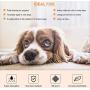 MIN Dog and Puppy Pee Training Pads 22'' x 22'', 30 Count/Home Protection Odor Eliminating/Quick Drying/Super Absorption