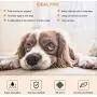 MIN Dog and Puppy Pee Training Pads 22'' x 22'', 30 Count/Home Protection Odor Eliminating/Quick Drying/Super Absorption
