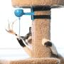 Our Pets 1400013659 Twirl & Whirl Electronic Spin Toy