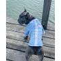 Parisian Pet Dog Clothes for Small Dogs Cat Apparel Puppy Outfits and Jumpsuits