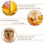 Snuffle Mat Pet Dog Slow Feeding Training Foraging Pad, Pet Dog Cat Interactive Fun Game Puzzle Toys, Non-Slip Smell Training Nosework Sniffing Blanket Mat Treat Feeder Bowl for Releasing Pressure