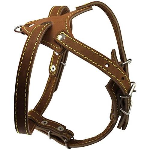 Brown Genuine Leather Dog Harness, 16.5''-20'' Chest Size, 1/2'' Wide