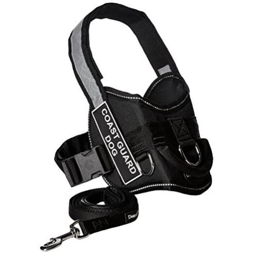 Dean & Tyler 28-Inch to 38-Inch Harness Padded with 6-Feet Puppy Leash