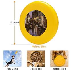 Pet Frisbee Flying Disc Dog Toy - Multifunction Venezia Al Crepuscolo Guido Borelli