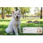 Lubber Elevated Acrylic Dog Bowls Pet Feeder Stand with 2 Stainless Steel Bowls