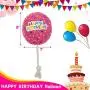 Dog Birthday Hat with Cake and Plush Squeaky Toys, Dog Birthday Party Supplies, Party Decorations for Boys, Puppy Chew Toys Gift for Dogs