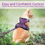 rabbitgoo Cat Harness and Leash for Walking, Escape Proof Soft Adjustable Vest Harnesses for Cats, Easy Control Breathable Reflective Strips Jacket, Purple, S(Chest: 18'' - 20'')