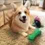 AIMPIRE Dog Toy Dog Chew Toys for Aggressive Chewers Large Breed Medium Large Dog Toy Tough Dog Toy Almost Indestructible Dog Teething Toys AIMPIRE Dog Toy Dog Chew Toys for Aggressive Chewers Large Breed Medium Large Dog Toy Tough Dog Toy Almost Indestructible Dog Teething Toys