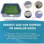 [DogCharge] Indoor Dog Potty Tray (Blue) with 2 Artificial Turf – with Protection Wall Every Side for No Leak, Spill, Accident - Keep Paws Dry and Floors Clean