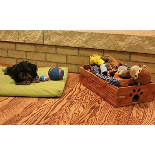 Dynamic Accents Amish Handcrafted Pet Toy Box