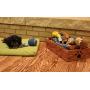 Dynamic Accents Amish Handcrafted Pet Toy Box