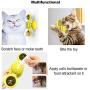 Amakunft 2 Packs Windmill Cat Toy with Led Ball and Catnip Ball, Cat Turntable Teasing Interactive Toy, Funny Kitten Windmill Ball, Massage Scratching Tickle