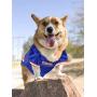 Pets First NCAA PET Apparels - Basketball Jerseys, Football Jerseys for Dogs & Cats Available in 50+ Collegiate Teams & 7 Sizes