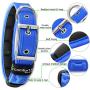 Metric USA Comfort Fit Soft Padded Dog Collar for Small Medium Large Dogs with Buckle Adjustable Comfortable Pet Collar, Blue, Small (6.5''-9'')