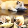 LeRicher Catnip Toys Set Simulation Fish Shape Doll Interactive Pets Pillow Chew Bite Supplies for Cat/Kitty/Kitten Fish Flop Cat Toy Catnip Crinkle Toys 5PCS