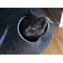 Kivikis Cat Bed, House, Cave, Nap Cocoon, Igloo, 100% Handmade from Sheep Wool Size: Large, L for 6-8 kg (12-16 pounds) cat. (Dark Gray)