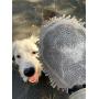 The Original Dirty Dog Grooming Mitt is Two Tools in One with Ultra Absorbent Microfiber to Quick Dry Wetness or Slobber and Flexible Silicone Brush to Massage and Detangle Fur