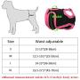 B0838XQ2SK Redcolourful Female Breathable Physiological Pants for Small Meidium Pets Dogs Purple M