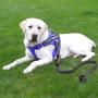 No Pull Dog Harness with Reflective Straps Adjustable Service Dogs Vest with Nylon Handle Easy Control in Training Pet Halters with Hook Oxford Fabric for Small Medium Large Dogs