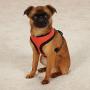 Casual Canine Mesh Dog Harness