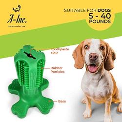 A-Inc. Dog Toothbrush Bite & Chew Stick for Oral Hygiene