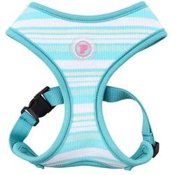 Pinkaholic New York Puppia