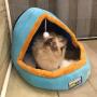 Chenyouwen Pet Beds Great Pet Dog Cat Warm Soft Bed Pet Cushion Dog Kennel Cat Castle Foldable Puppy House with Toy Ball, Size:M(Camel Color) (Color : Blue)