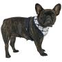 Puppia Life - Neil Harness A