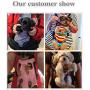 YINGJEE Dog Carrier Legs Out Front Pet Carrier Backpack Adjustable Puppy Cat Small Bag with Shoulder Strap and Sling for Traveling Hiking Camping Outdoor